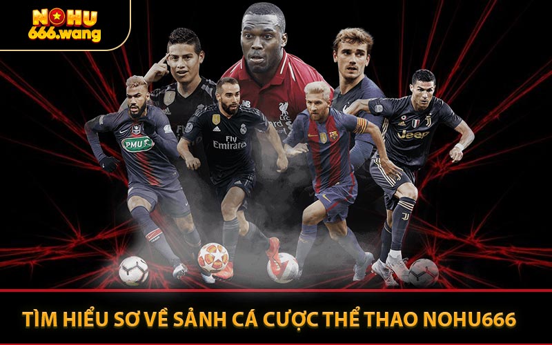 Tìm Hiểu Sơ Về Sảnh Cá Cược Thể Thao NOHU666